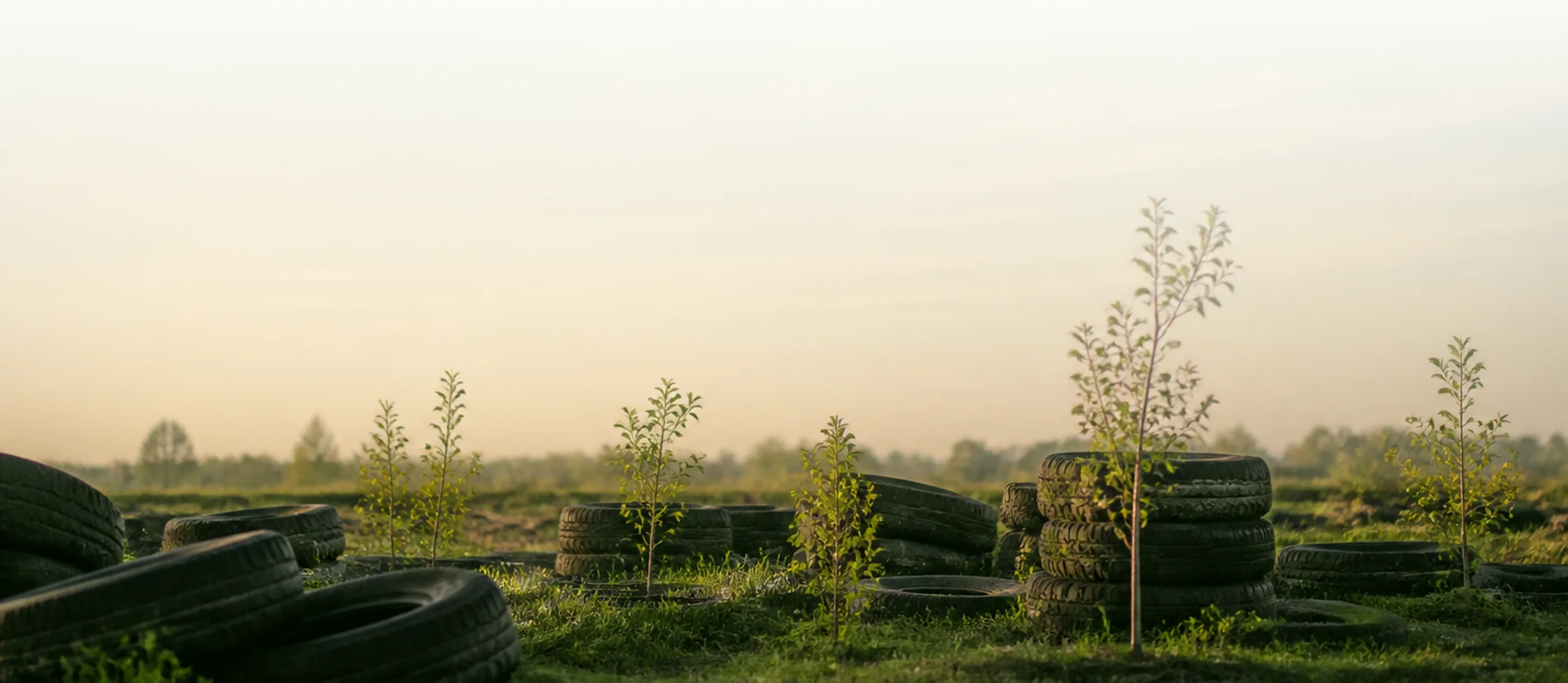 Pneus reciclados em meio à vegetação - ciclo de sustentabilidade
